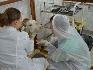 30 работников АПК Нижегородской области с начала 2025 года получили по 2 млн рублей для приобретения жилья